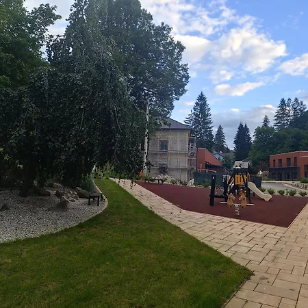 V Raji